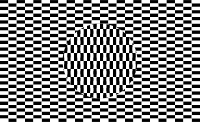 Optical Illusion Checkerboard