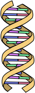 DNA Simple