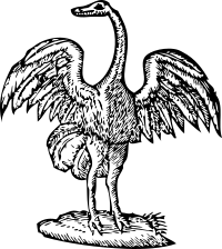 bird engraving