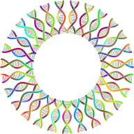 DNA Helix Frame II Polyprismatic