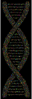 DNA Helix Circles Polyprismatic