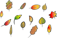 Leaf Set Autumn Colors
