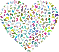 Butterflies Heart Polyprismatic