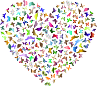 Butterflies Heart Chromatic