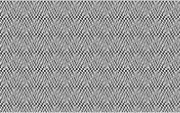 Distorted Checkerboard Pattern