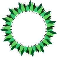 Pine Trees Frame