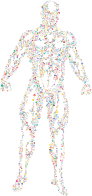 Muscular Man Circles Prismatic