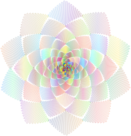 Geometric Rosette Design Polyprismatic No BG