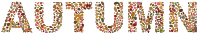 Autumn Leaves Typography