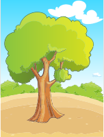 Pleasant Greenery Scene