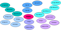 RootWordFamily