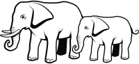 Elephants