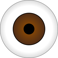 Olhos Castanhos/ Brown Eye