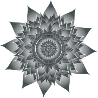 Duochromatic Floral Mandala 2