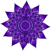 Cobalt Floral Mandala