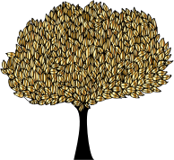 Banyan Tree Gold