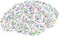 Brain Silhouette Circles Prismatic