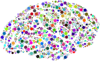 Brain Silhouette Circles Type II Prismatic