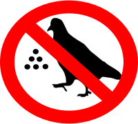 No Feeding The Birds