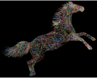 Raging Horse Wireframe Prismatic
