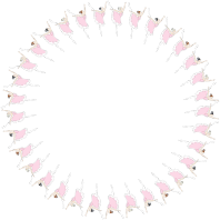 Three Ballerinas Frame