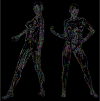 Muscular Women Line Art Prismatic