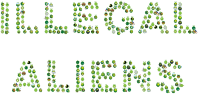 Illegal Aliens