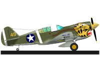 P-40 WARHAWK