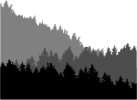 Forest Treeline Landscape