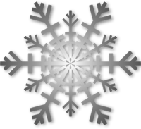 Silver Snowflake with Shadow