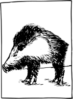 Year of the Boar