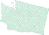 Washington Marijuana Green
