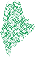 Maine Marijuana Green