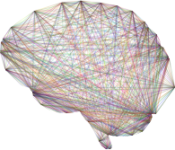 Geometric Connections Brain Chromatic