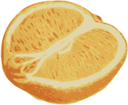 Sliced Orange