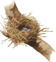 Nest in a Tree