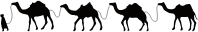 Camel Caravan Silhouette