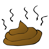 Feces