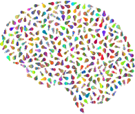 Lightbulbs Brain Polyprismatic