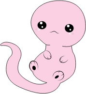 Azolotl By TinaMatzinger
