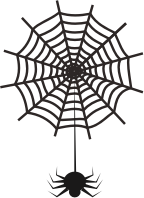Spider and Web