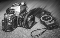 camera halftone (animated)