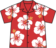 Aloha Shirt