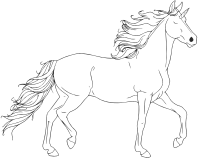 Unicorn Line Art