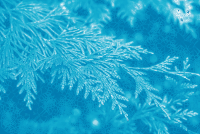 leaf detail (animated)
