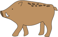 Boar