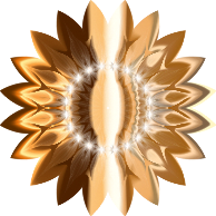 Golden Orchid