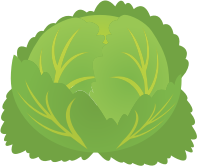 Cabbage