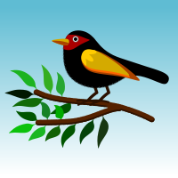 bird010120191