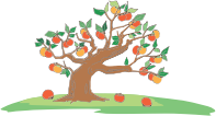 Persimmon Tree